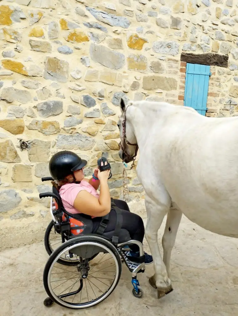 Jeune fille en fauteuil roulant et tenue d'équitation en train de brosser un cheval blanc pendant un atelier d'équi-handi à l'association les enfants extraordinaires à Barjac.