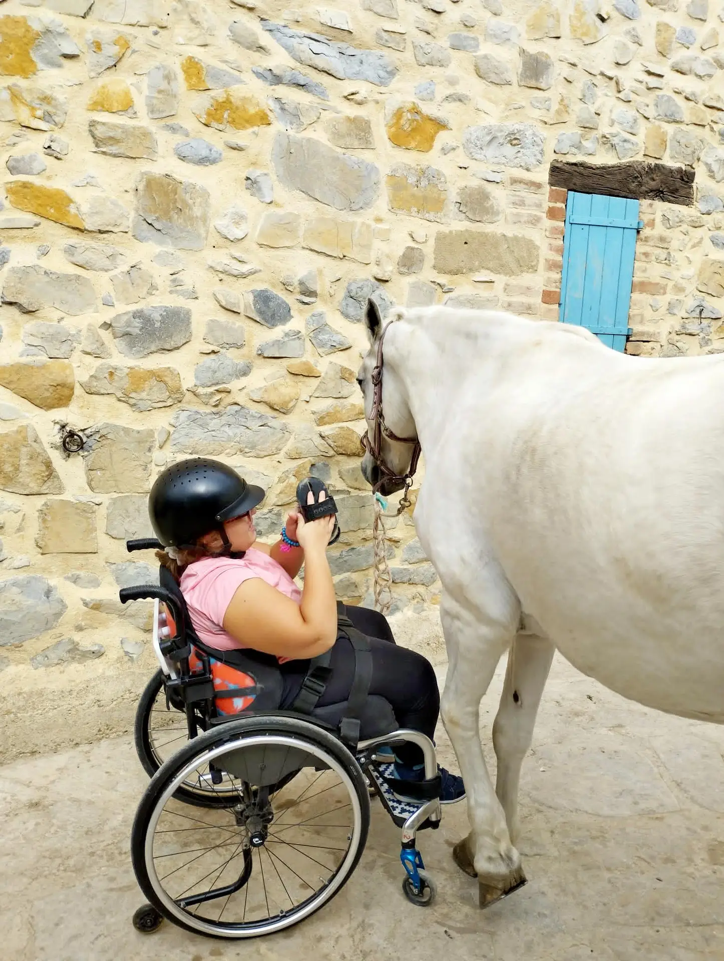 Jeune fille en fauteuil roulant et tenue d'équitation en train de brosser un cheval blanc pendant un atelier d'équi-handi à l'association les enfants extraordinaires à Barjac.