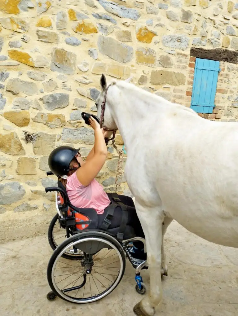 Jeune adulte en fauteuil roulant et tenue d'équitation en train de brosser un cheval blanc à l'association les enfants extraordinaires à Barjac dans le Gard.