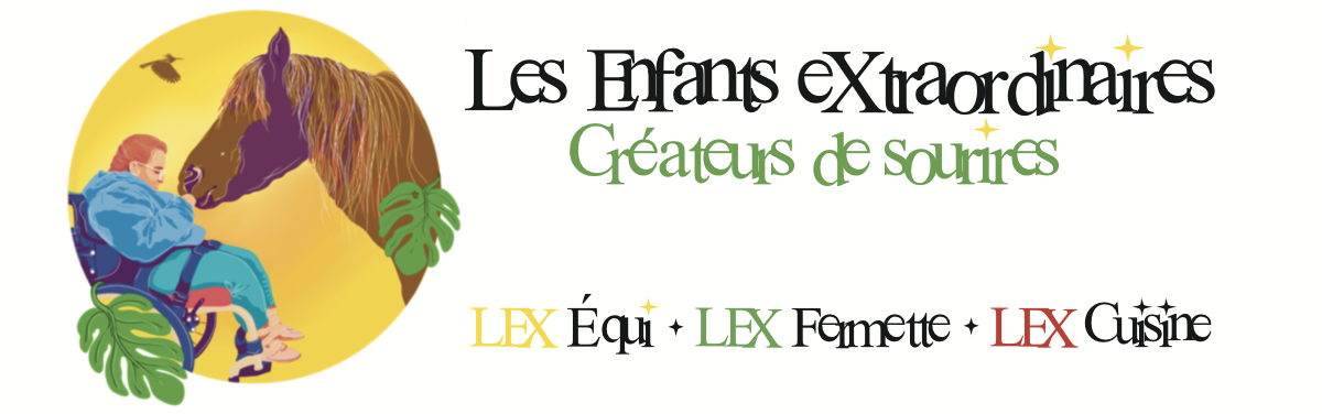 Bandeau de l'association LEX les enfants extraordinaires.