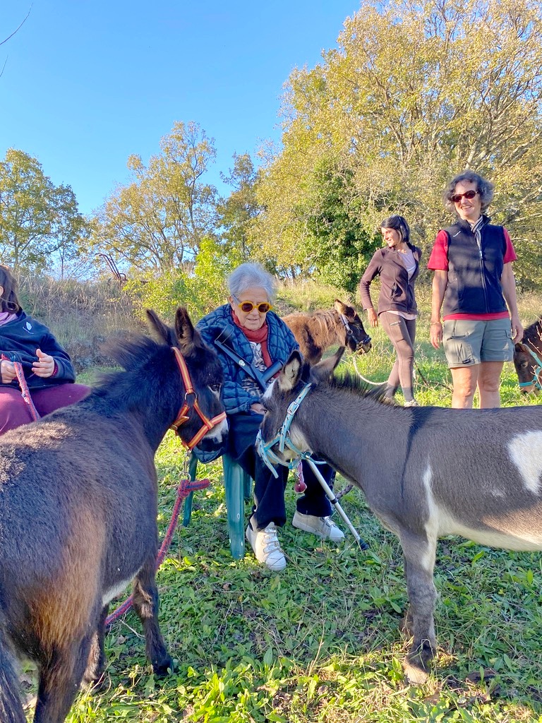 Une dame assise sur un fauteuil en train de caresser la tête d'un âne. Autre âne s'approchant d'elle et personnes souriantes en arrière-plan. Scène de vie à la fermette du mas de rivet à Barjac.
