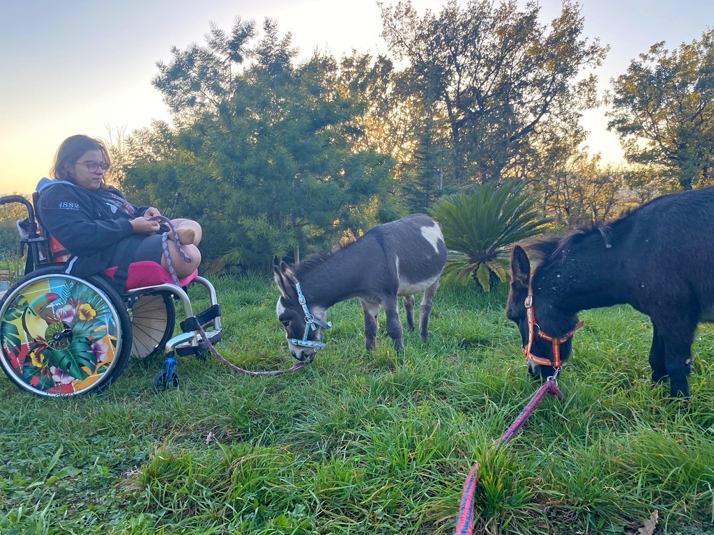 Jeune adulte en fauteuil roulant dans une prairie tenant en longe des équidés qui broutent.