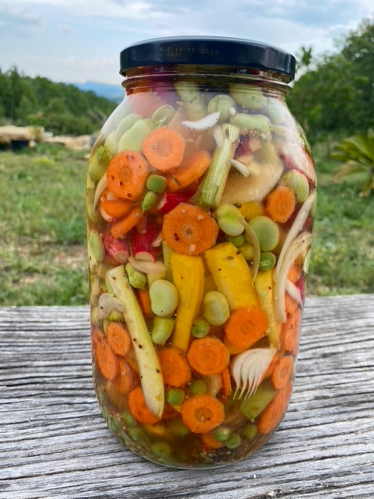 Photo en gros plan d'un bocal de pickles réalisé à l'atelier cuisine de l'association les enfants extraordinaires à Barjac dans le Gard.